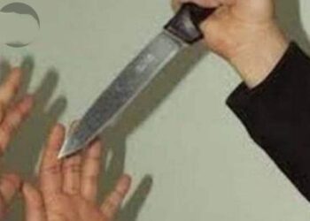 تقتل ابنها وتصيب زوجها وابنتها في مشهد مروع بطنطا