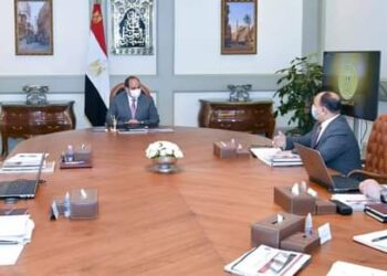 السيسي يوجه بتعزيز دور القطاع الخاص كشريك هام في النمو الاقتصادي