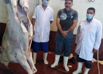 ذبح 407 رأس بالمجان في ثان أيام العيد