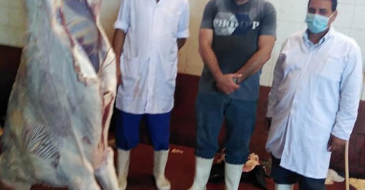 ذبح 407 رأس بالمجان في ثان أيام العيد