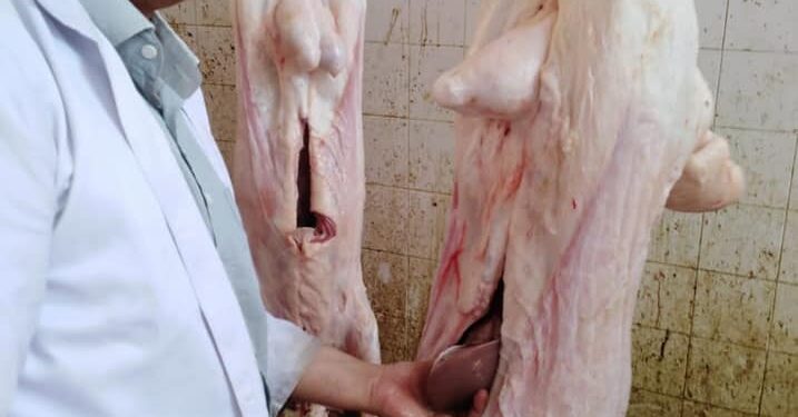 ذبح ١٥٨ أضحية في ثالث أيام العيد بالغربية