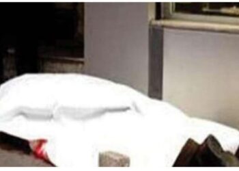 المحمـودية