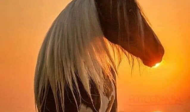 نأى يصرخ بالآهات