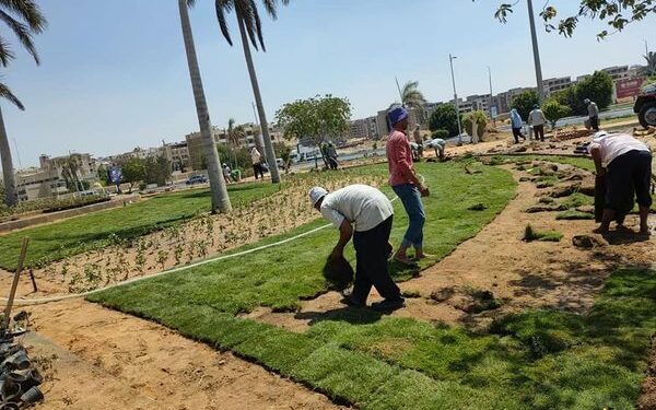 جهاز مدينة العبور