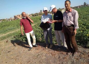 فعاليات الفحصة الخامسه لرشه الثالثة لمحصول القطن بابشواي