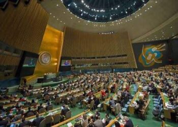 نبيل أبوالياسين : يُهاجم مجلس الأمن ••عديم الفائده