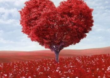 ماذا يحدث لو غابت الكراهية وحضر الحب ؟