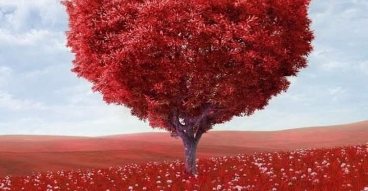 ماذا يحدث لو غابت الكراهية وحضر الحب ؟