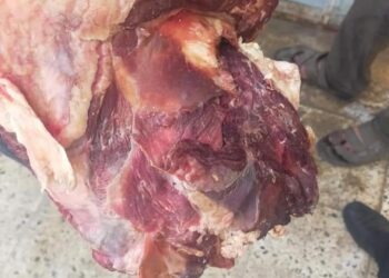 "الزراعة" تضبط أكثر من 120 طن لحوم ومنتجاتها غير صالحة للاستهلاك الآدمي وذبح خارج المجازر