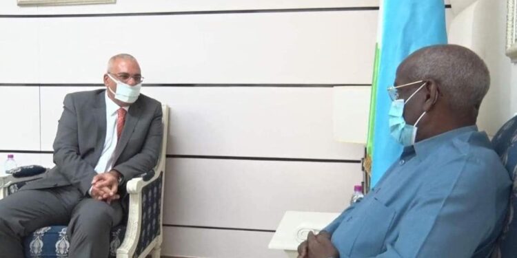 السفير المصري في جيبوتي يلتقي برئيس الوزراء ووزير الخارجية .