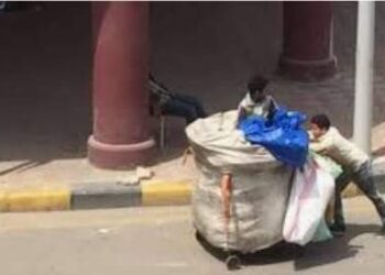 بورسعيد والنباشين.