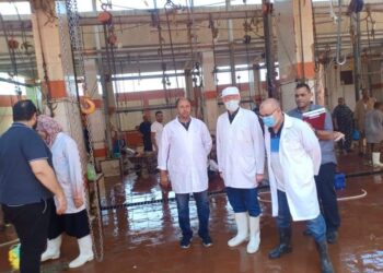 محافظ الغربية يتابع استعدادات المجازر لاستقبال عيد الأضحى المبارك