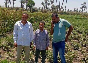 زراعة أبشواى :متابعة أعمال حماية الأراضي بأبشواي اليوم