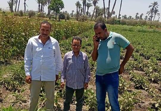 زراعة أبشواى :متابعة أعمال حماية الأراضي بأبشواي اليوم