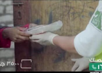 "مصر الخير" تحجز أكثر من 60 مجزر استعدادا لذبح أضاحي العيد