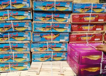 استمرار الحملات التموينية المكثفة على أسواق كفر الزيات بالغربية لضبط الخارجين عن القانون