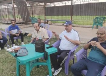 إعادة صياغة قطاع الناشئين بالالومنيوم