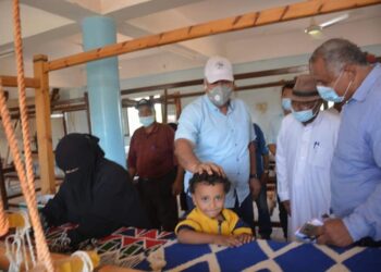 محافظ الوادي الجديد