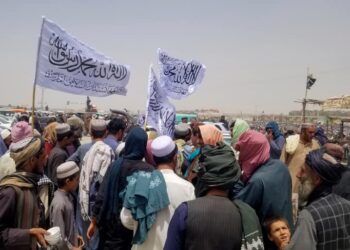 حركة طالبان