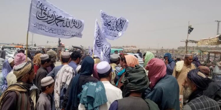 حركة طالبان