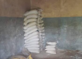 احباط محاولة بيع طن و٦٣ جوال أسمدة زراعية في السوق السوداء بقنا