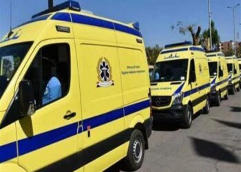 إصابة 14 شخصا