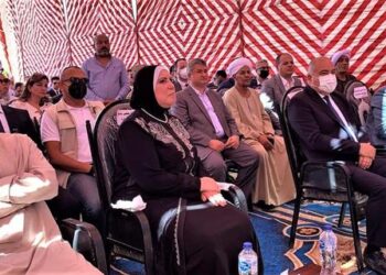 تحقيق التنمية