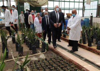 وزير الزراعة يتفقد