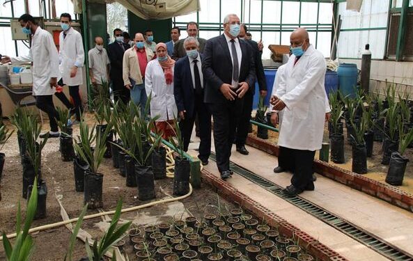 وزير الزراعة يتفقد