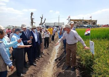 تنظيم يوم حقلي