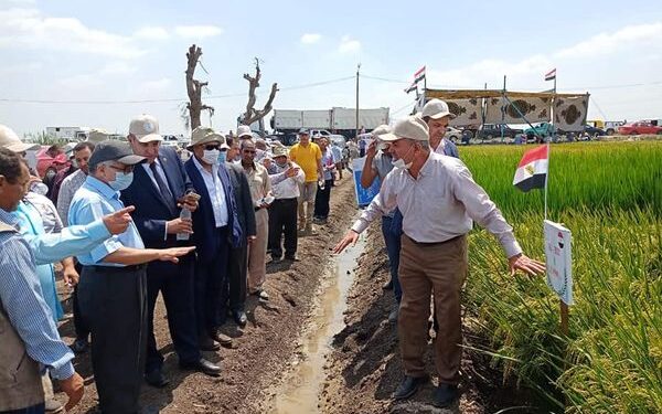 تنظيم يوم حقلي