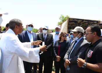 وزير الزراعه و