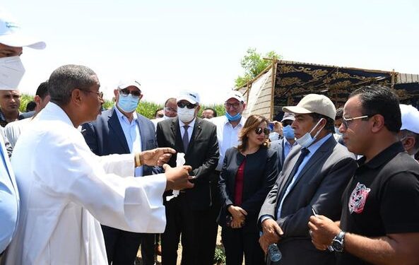 وزير الزراعه و