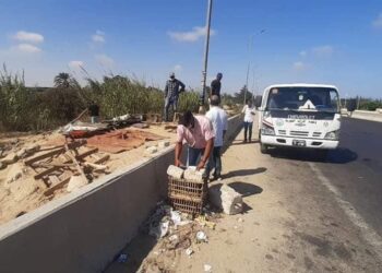 اللواء اشرف يشن حملة مكبرة لرفع الأشغالات بحي العامرية تاني