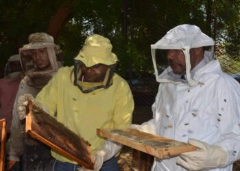 نائب رئيس جامعة الازهر بأسيوط يتفقد المنحل الخاص بمركز البحوث الزراعية.