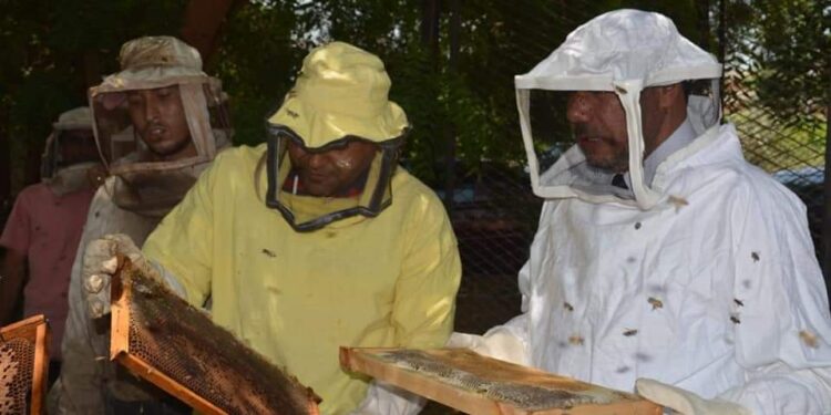 نائب رئيس جامعة الازهر بأسيوط يتفقد المنحل الخاص بمركز البحوث الزراعية.