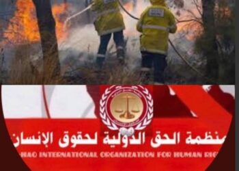 منظمة الحق : تُطالب الدول العربية بتوفير الدعم للجزائر