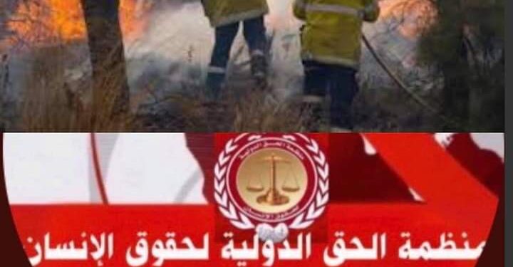 منظمة الحق : تُطالب الدول العربية بتوفير الدعم للجزائر