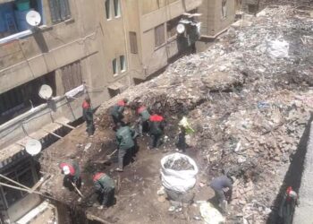 ١٥٦طن من القمامه تتسبب في تلوث البيئه بمحافظة الجيزه