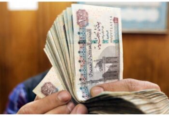 طرق الحصول علي 10جنيهات و20جنيه البلاستيكية الجديدة .