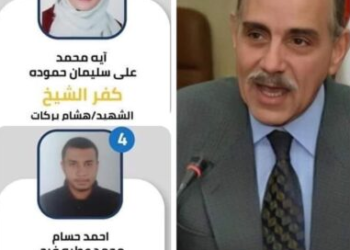 محافظ كفرالشيخ