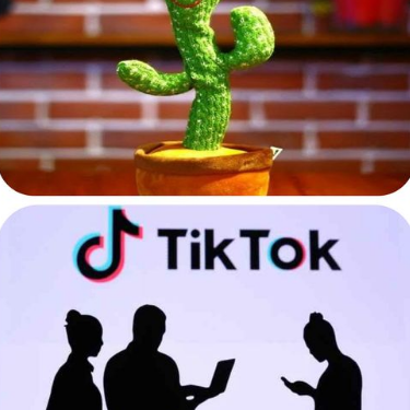 الموت بين الصبارة الراقصة والتيك توك...!