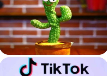 الموت بين الصبارة الراقصة والتيك توك...!