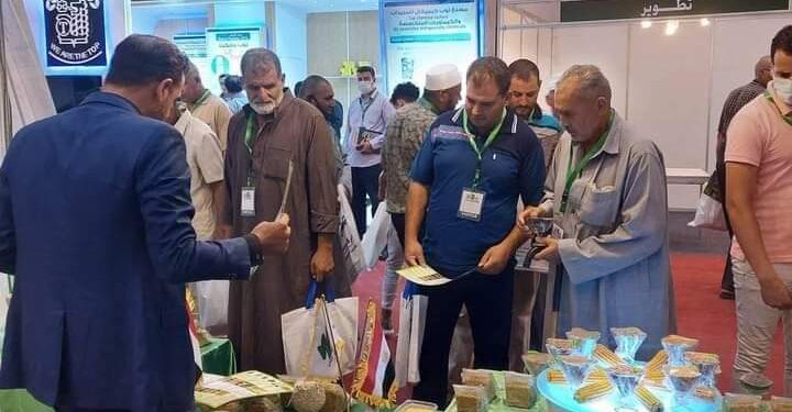 الزراعة :محطات إنتاج وغربلة التقاوي تواصل عملها استعدادا للموسم الشتوي