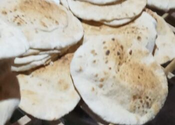 تموين الغربية يضبط الكثيرمن قضايا الفساد بالأسواق والمخابز البلدية