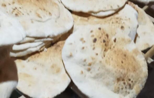 تموين الغربية يضبط الكثيرمن قضايا الفساد بالأسواق والمخابز البلدية