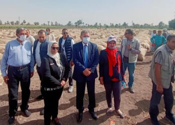 محافظ الفيوم: نهدف للقضاء على المعاملات السلبية لتجارة وتداول القطن بالمنظومة الجديدة