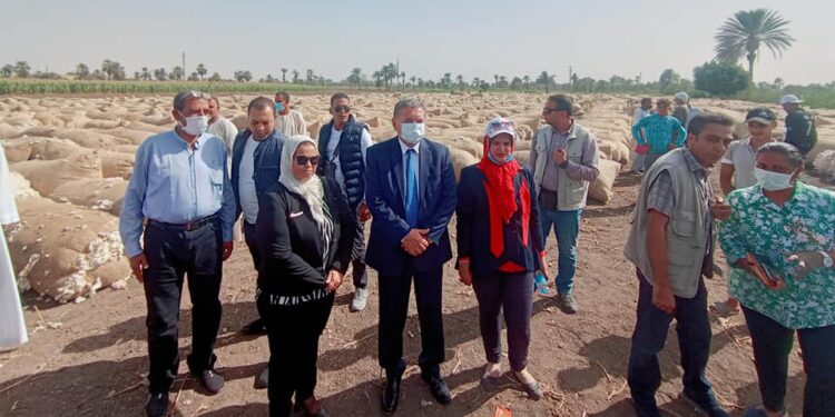محافظ الفيوم: نهدف للقضاء على المعاملات السلبية لتجارة وتداول القطن بالمنظومة الجديدة