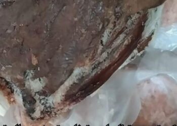 الهيئة القومية للتفتيش وسلامة الغذاء تضبط كميات كبيرة من الكبده والبرجر منتهى الصلاحية بالغربية