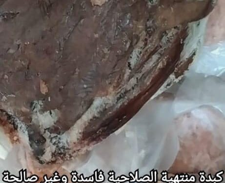 الهيئة القومية للتفتيش وسلامة الغذاء تضبط كميات كبيرة من الكبده والبرجر منتهى الصلاحية بالغربية
